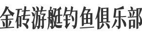 website logo