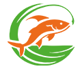 website logo